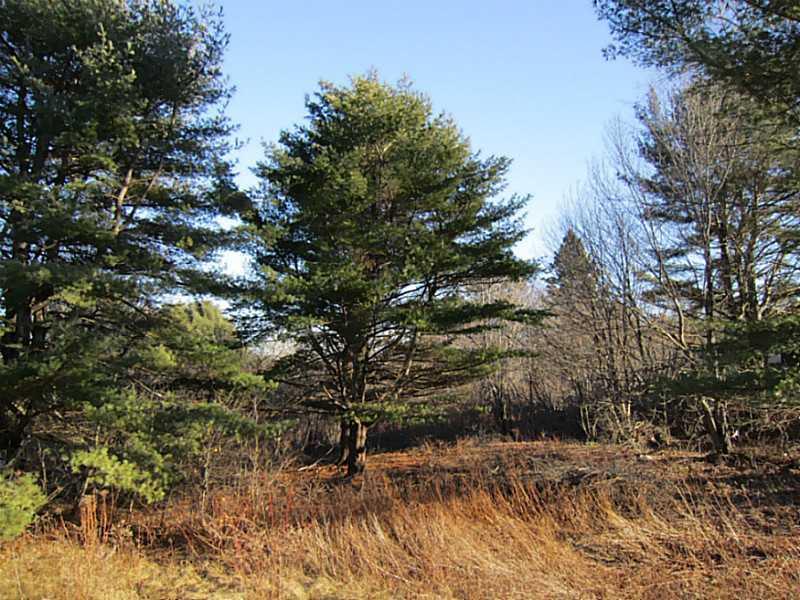 Lot 37 Christian Ridge Road Ellsworth, ME 04605 - Photo 4 of 26 Land.