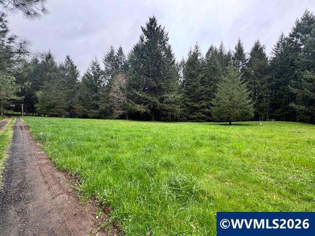 23939 Raze Road Elmira, OR 97437 - Photo 35 of 46