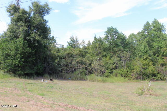 0 Northwest State Road 12 Bristol, FL 32321 - Photo 11 of 11