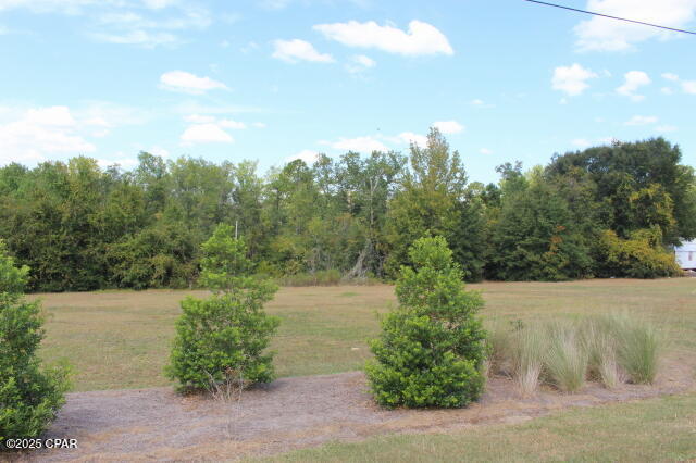 0 Northwest State Road 12 Bristol, FL 32321 - Photo 7 of 11