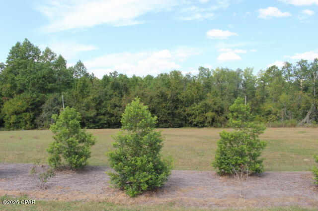 0 Northwest State Road 12 Bristol, FL 32321 - Photo 8 of 11