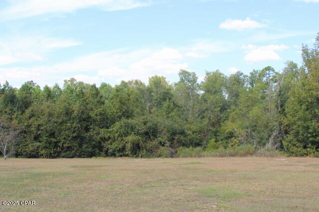 0 Northwest State Road 12 Bristol, FL 32321 - Photo 10 of 11