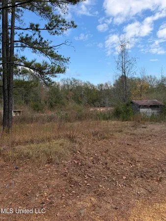 $68,000 | 393 Cripple Lane Southwest, Brookhaven, MS 39601