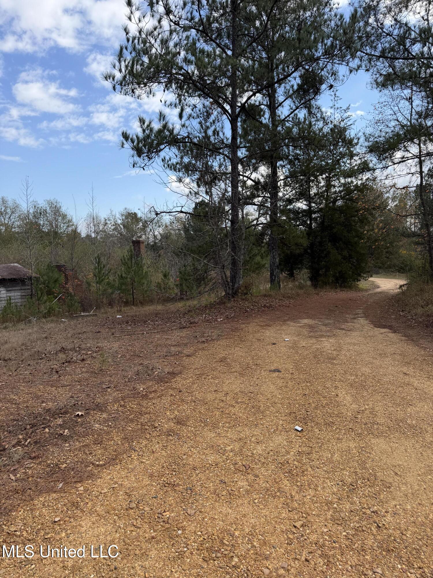 393 Cripple Lane Southwest Brookhaven, MS 39601 - Photo 2 of 7 IMG_7126