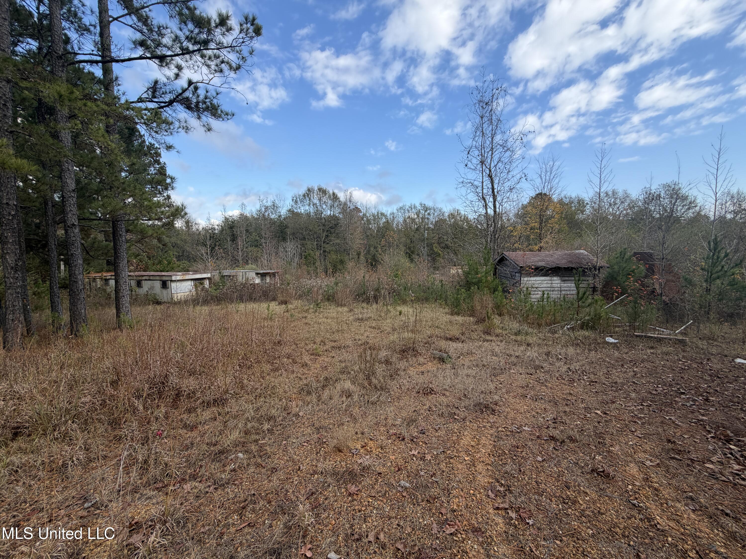 393 Cripple Lane Southwest Brookhaven, MS 39601 - Photo 3 of 7 IMG_7129