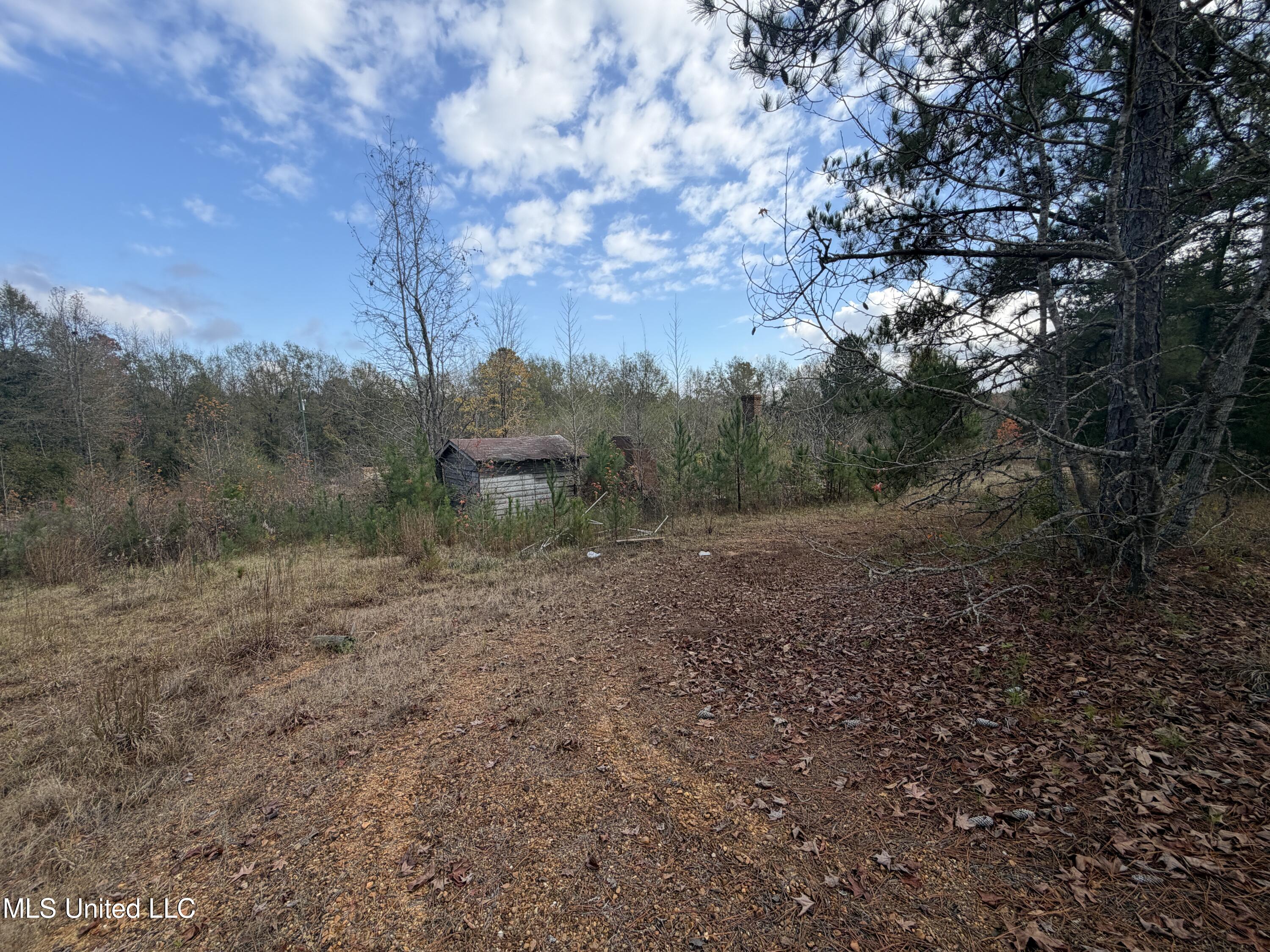 393 Cripple Lane Southwest Brookhaven, MS 39601 - Photo 4 of 7 IMG_7130