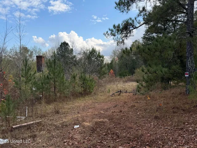 $68,000 | 393 Cripple Lane Southwest, Brookhaven, MS 39601