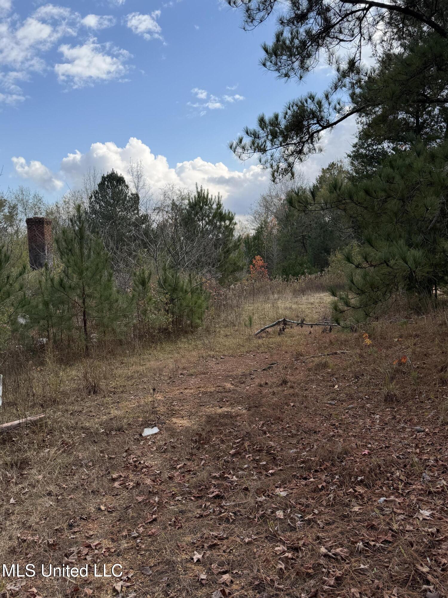 393 Cripple Lane Southwest Brookhaven, MS 39601 - Photo 6 of 7 IMG_7132