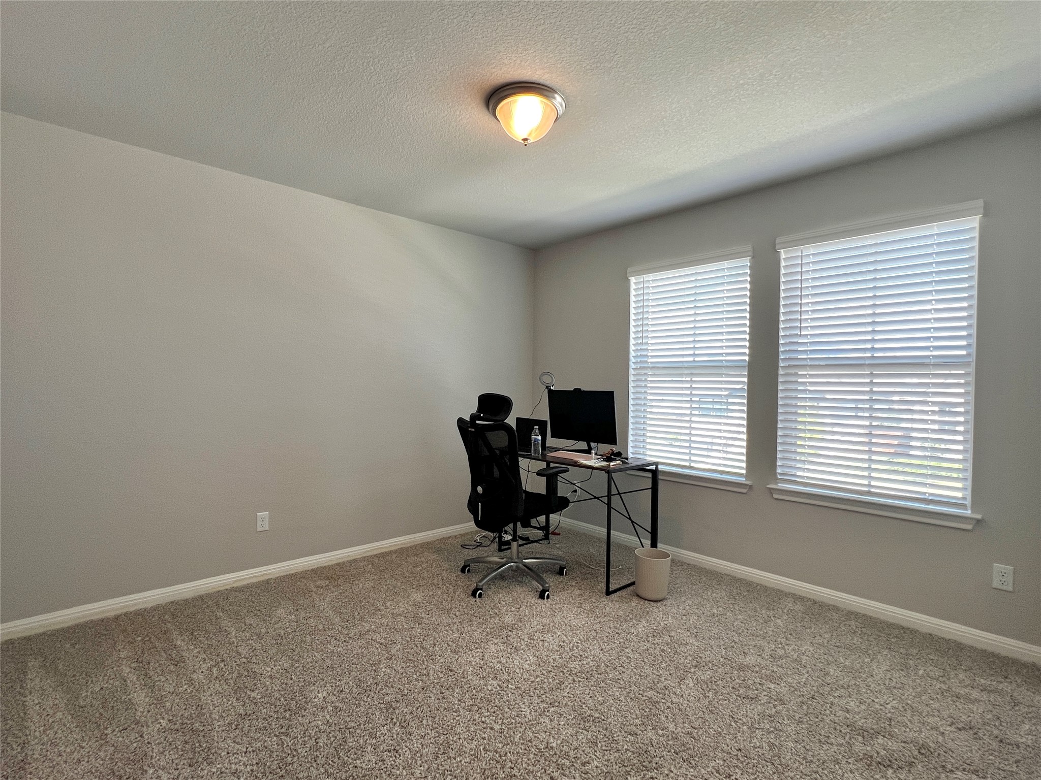 2904 Sage Ranch Drive Leander, TX 78641 - Photo 15 of 21 Bedroom 4