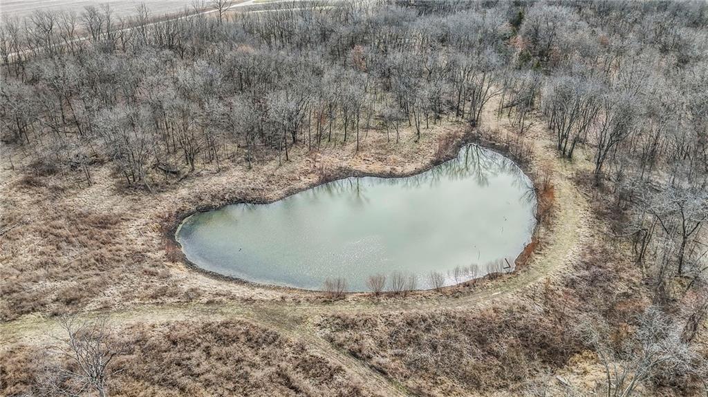720 Southwest 800th Road Chilhowee, MO 64733 - Photo 41 of 64