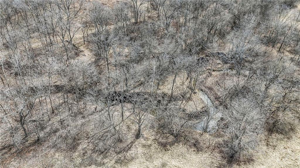 720 Southwest 800th Road Chilhowee, MO 64733 - Photo 42 of 64