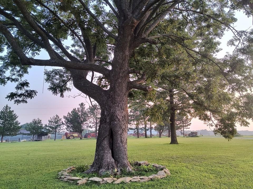 720 Southwest 800th Road Chilhowee, MO 64733 - Photo 57 of 64