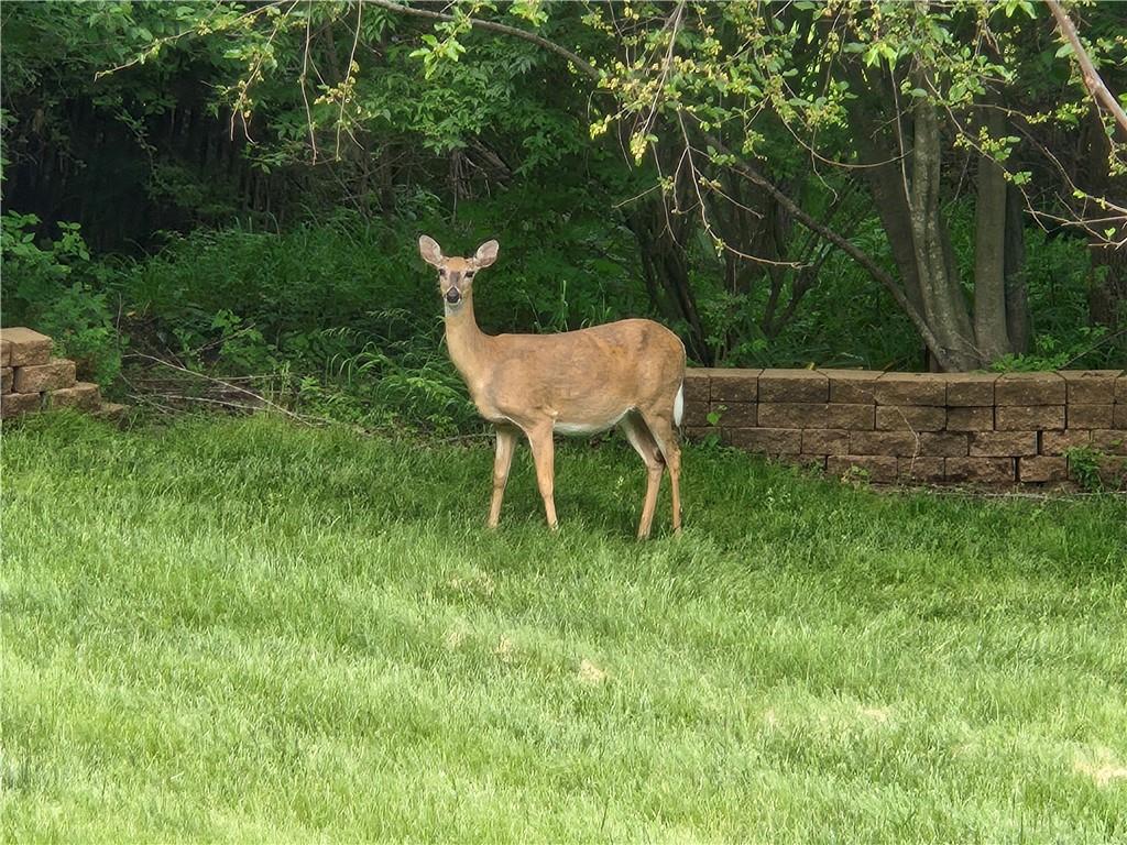 720 Southwest 800th Road Chilhowee, MO 64733 - Photo 61 of 64