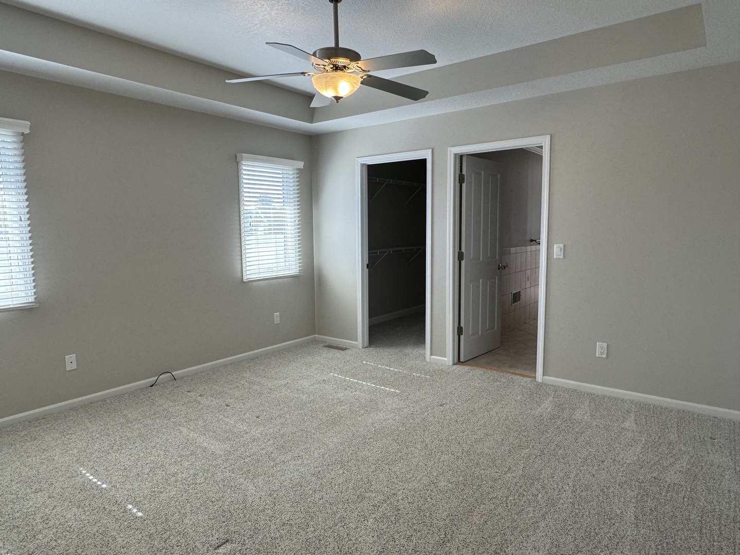 453 East Kay Street Herscher, IL 60941 - Photo 21 of 54 an empty room with windows and chandelier fan