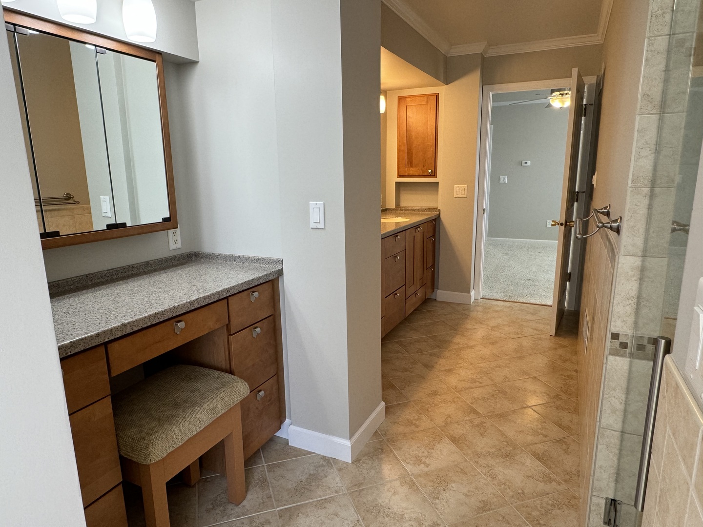 453 East Kay Street Herscher, IL 60941 - Photo 29 of 54 a bathroom with a sink a mirror and a shower