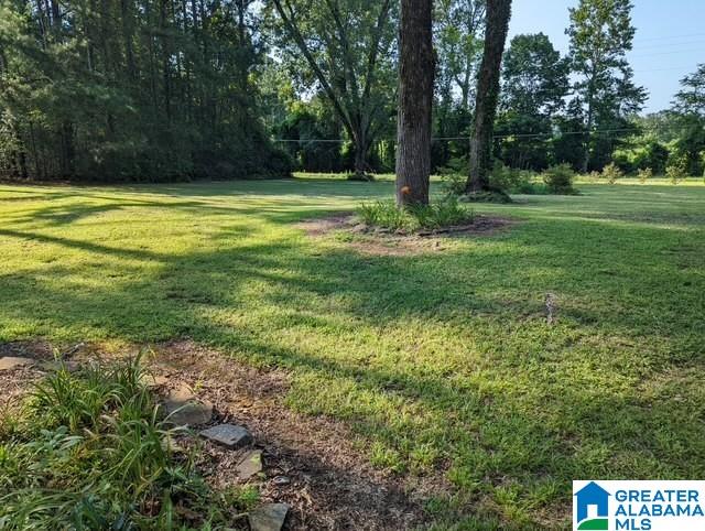 11482 Camp Oliver Road Adger, AL 35006 - Photo 17 of 48