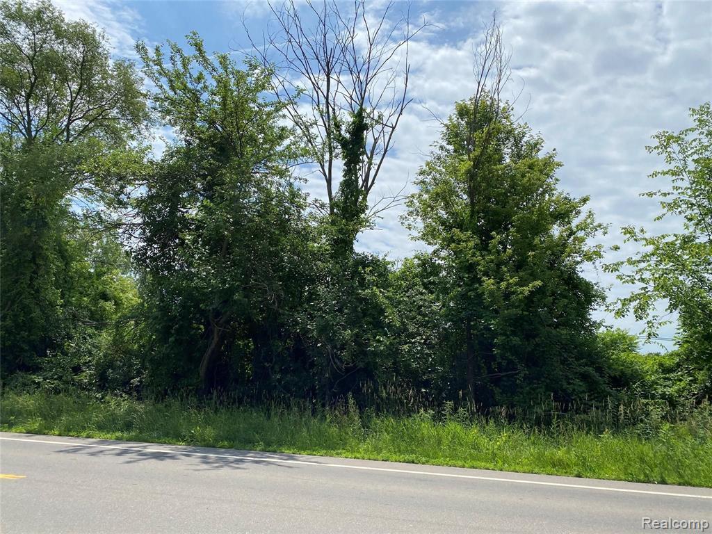 44780 Bemis Road Belleville, MI 48111 - Photo 55 of 55