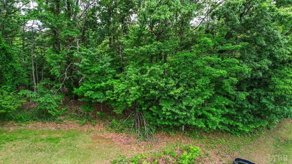 0 South Coolwell Road Madison Heights, VA 24572 - Photo 3 of 15 a view of a lush green forest