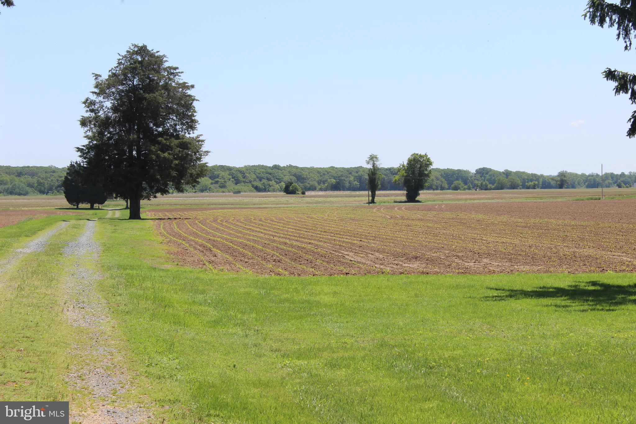 6970 Pomona Road Chestertown, MD 21620 - Photo 34 of 56 Gallery Image 34