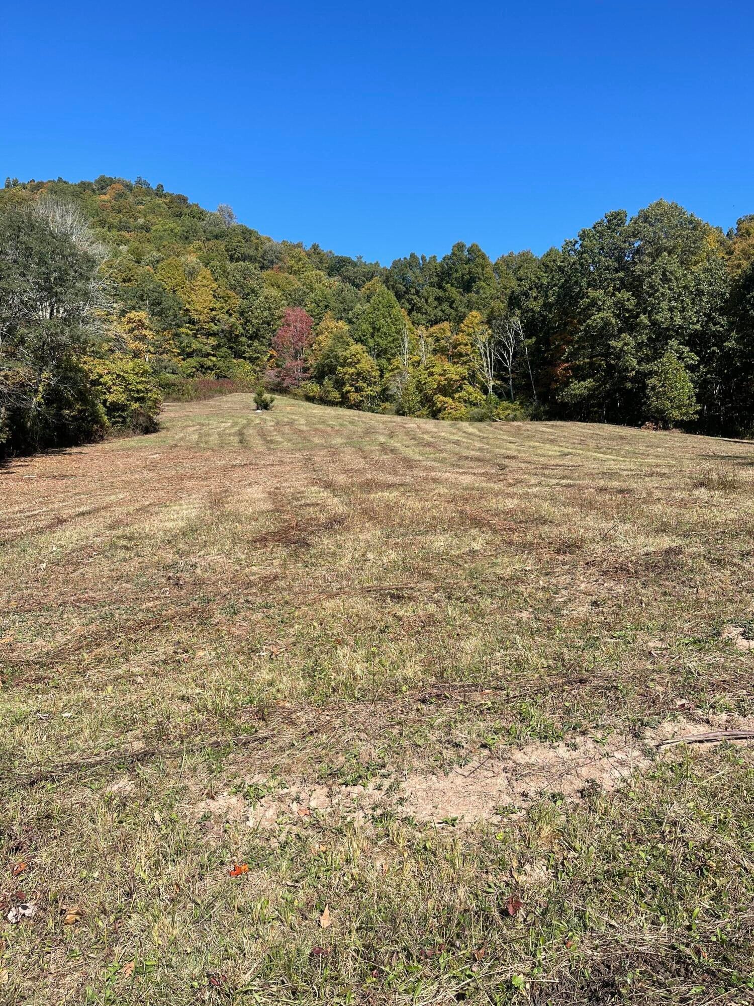 Cornstalk Road Crawley, WV 24931 - Photo 8 of 14 Gallery Image 8