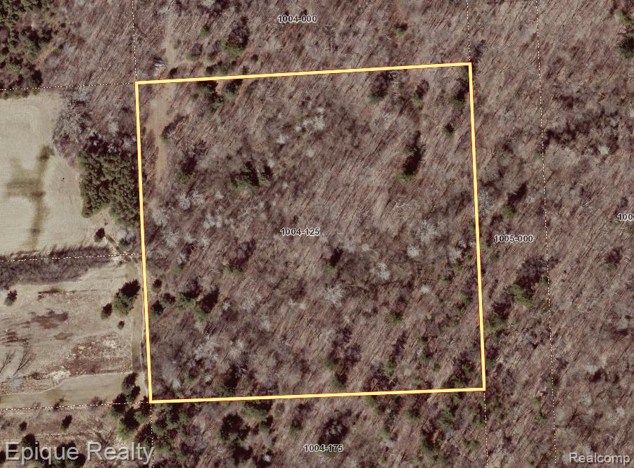 0 Ravenswood Road Smiths Creek, MI 48074 - Photo 3 of 3