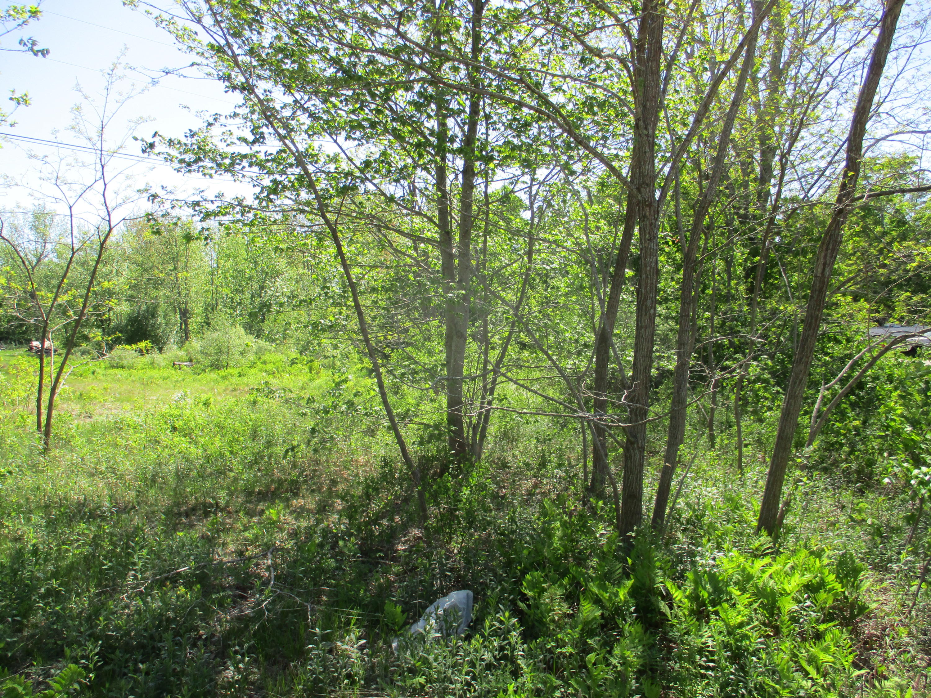 1660 Washington Road Waldoboro, ME 04572 - Photo 9 of 15 IMG_1506