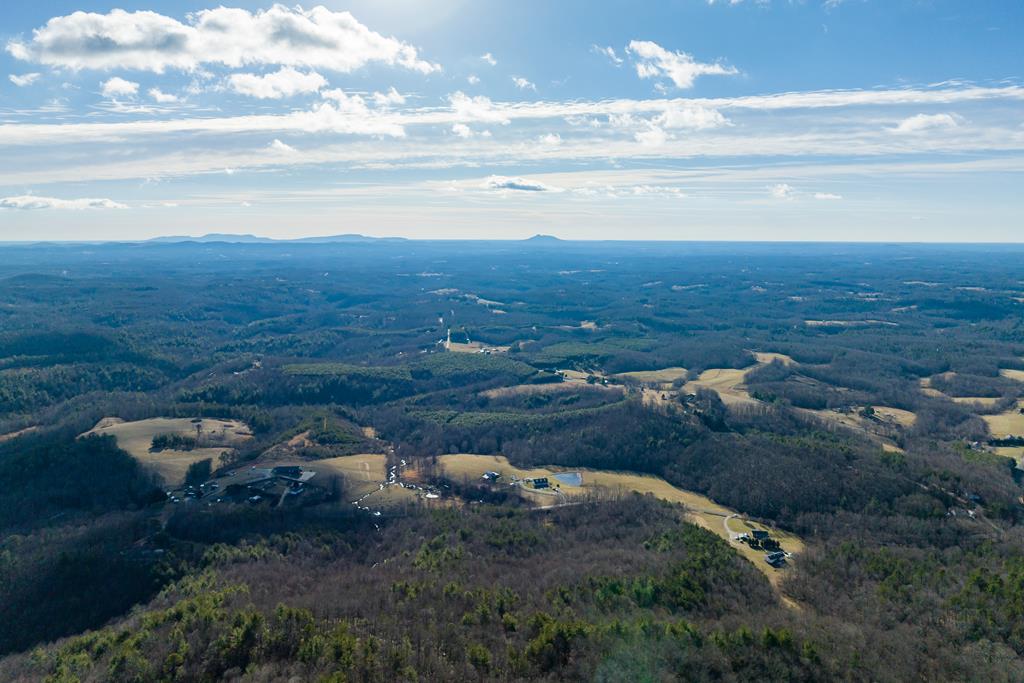 Lot 93 Reflections Point Trail, Unit 93 Fancy Gap, VA 24328 - Photo 14 of 92 Gallery Image 14