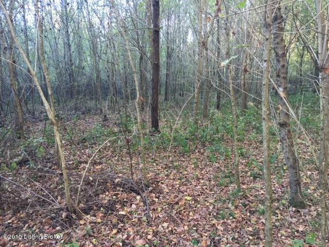 543 Cow Branch Road West Point, KY 40177 - Photo 15 of 23 B16