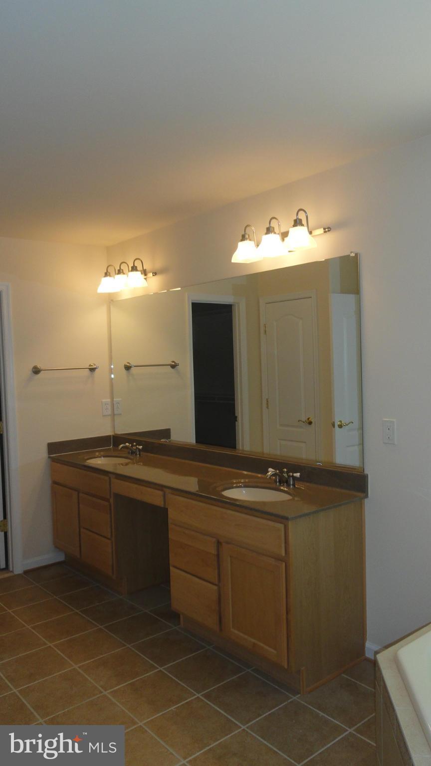 153 Revell Road Fredericksburg, VA 22405 - Photo 16 of 24 Bath (Master)