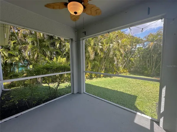 a view of a backyard with plants and large trees