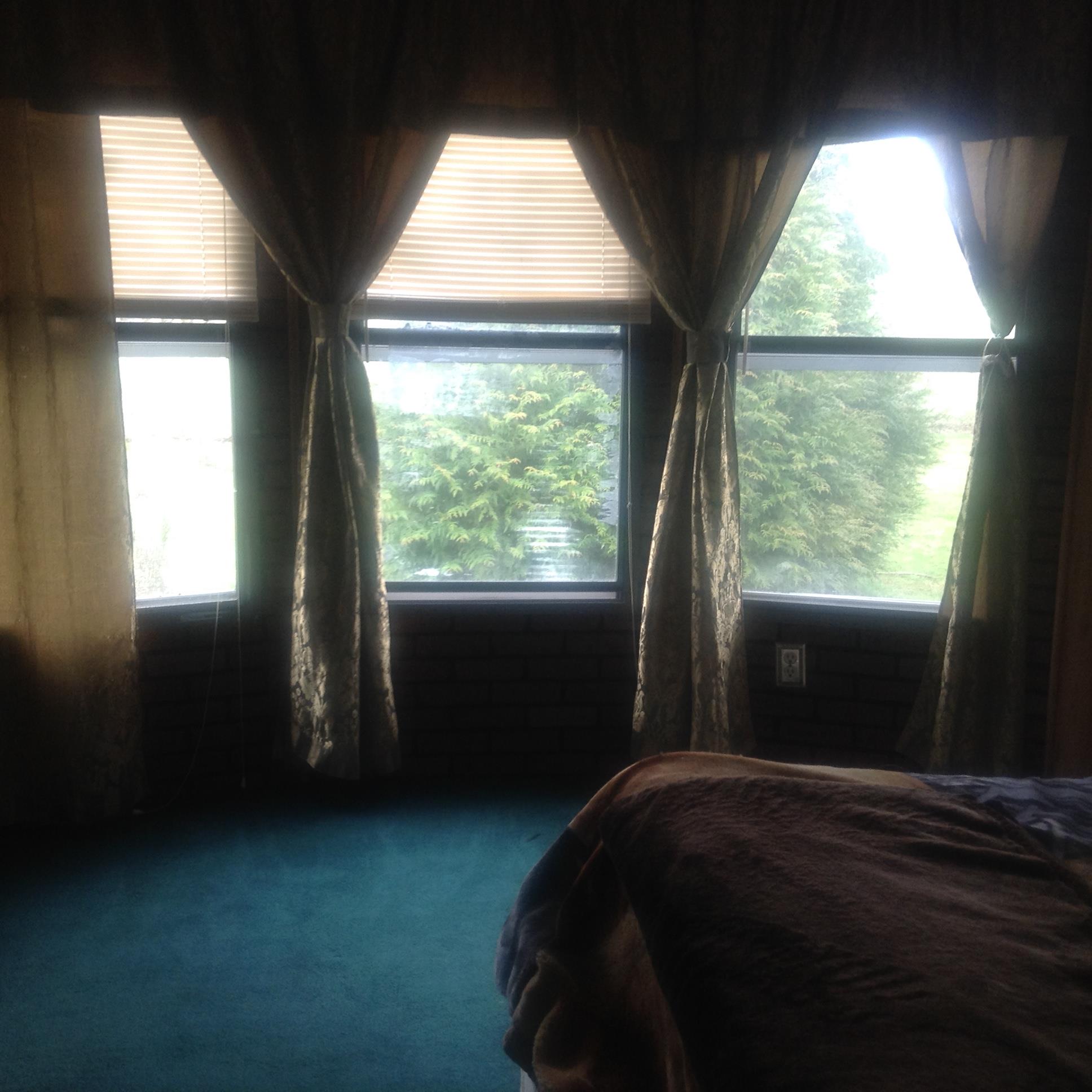 1154 Snell Road Lewisburg, TN 37091 - Photo 10 of 10 Beautiful bay window in Master Bedroom.