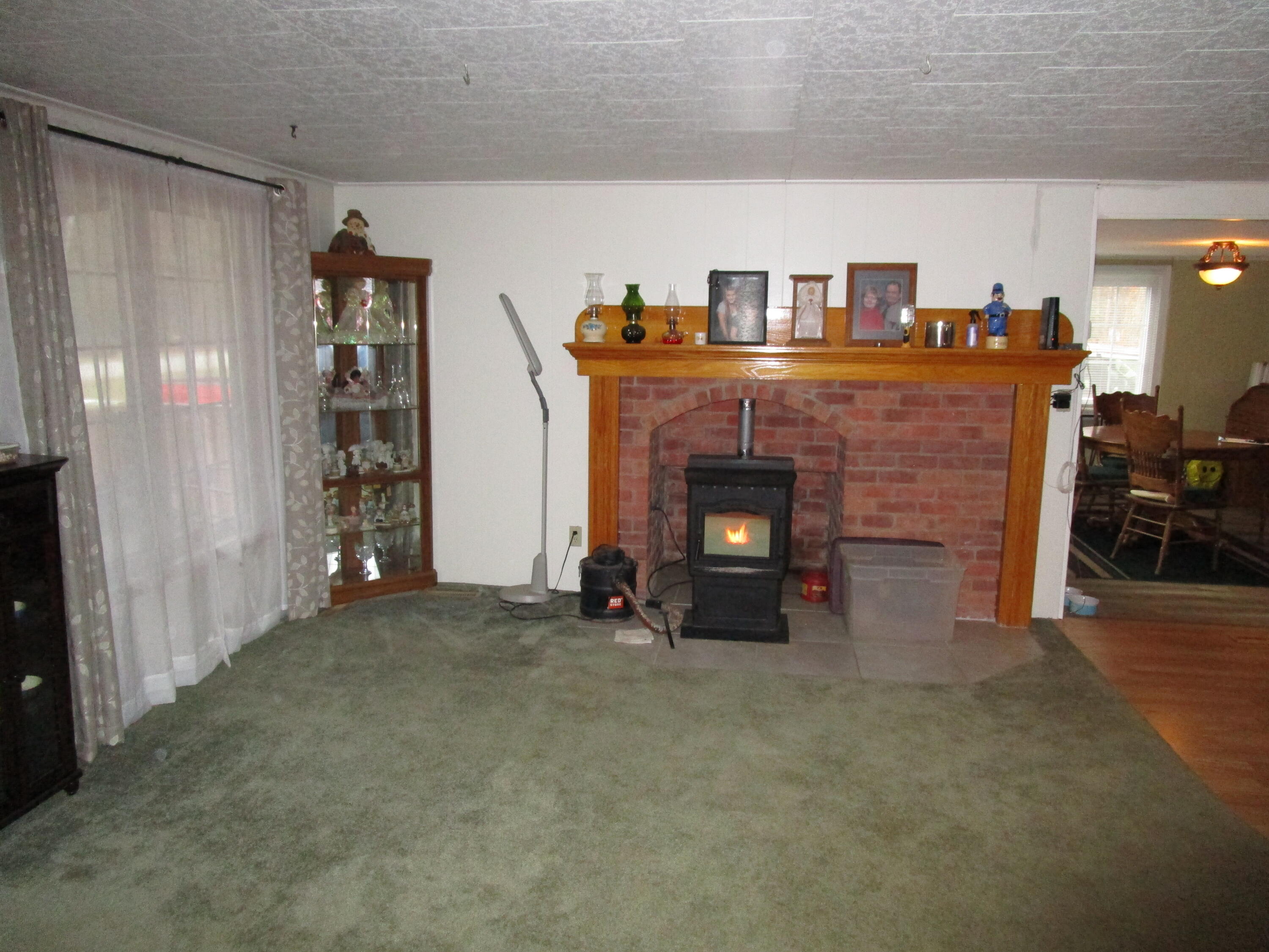 10160 Parke Road Alanson, MI 49706 - Photo 9 of 28 Gallery Image 9