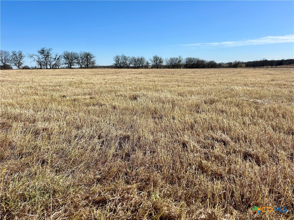 3201 Bottoms East Road Troy, TX 76579 - Photo 3 of 5 a view of lake and mountain