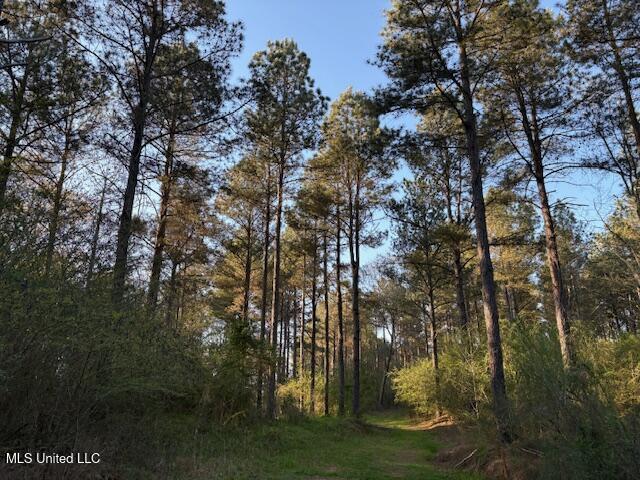 Old Jackson Road Forest, MS 39074 - Photo 1 of 8 Property View