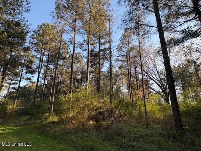 Old Jackson Road Forest, MS 39074 - Photo 4 of 8 IMG_1563
