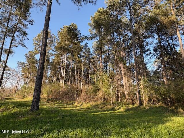 Old Jackson Road Forest, MS 39074 - Photo 5 of 8 IMG_1564