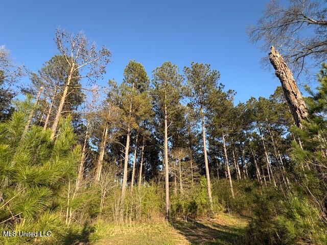 Old Jackson Road Forest, MS 39074 - Photo 6 of 8 IMG_1565