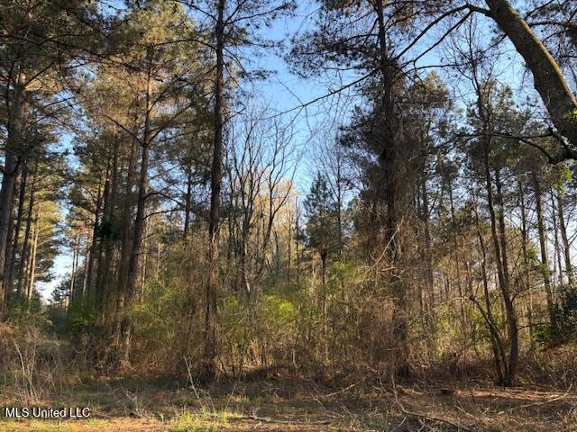 Old Jackson Road Forest, MS 39074 - Photo 7 of 8 IMG_1567