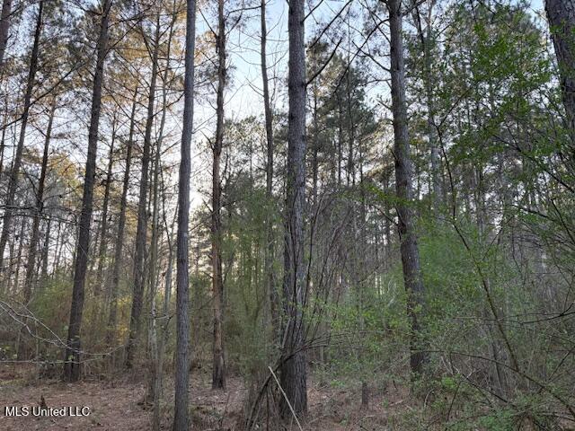 Old Jackson Road Forest, MS 39074 - Photo 8 of 8 IMG_1568