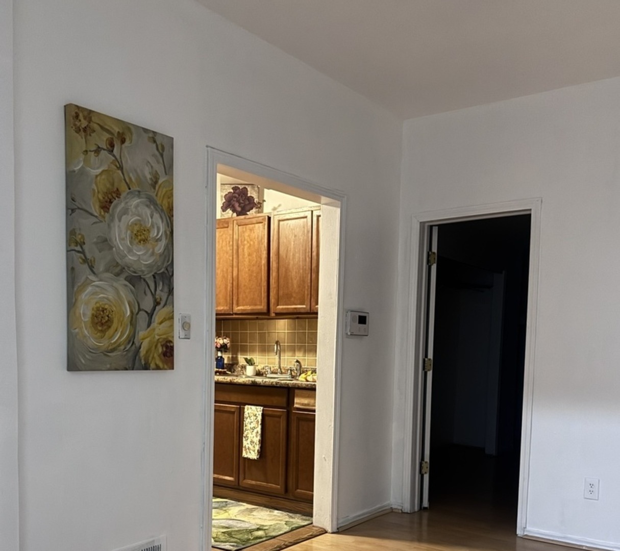 807 Spruce Street Aurora, IL 60506 - Photo 13 of 23