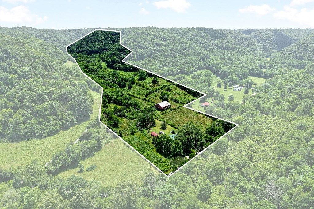 747 Hunting Creek Road Whitleyville, TN 38588 - Photo 4 of 33