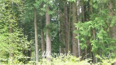 9 Fort Gate Road Nordland, WA 98358 - Photo 1 of 1 Gallery Image 1