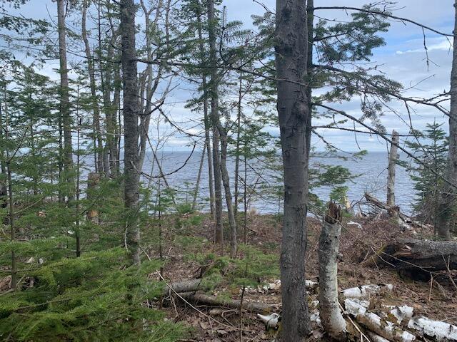 9764 North Whitefish Point Road Paradise, MI 49768 - Photo 4 of 13 Gallery Image 4