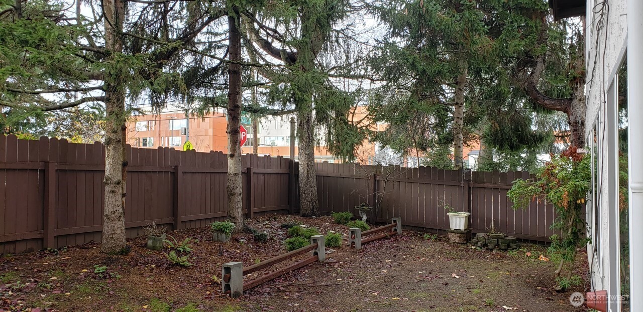8854 Interlake Avenue North Seattle, WA 98103 - Photo 21 of 23 a view of a backyard with wooden fence and a large tree
