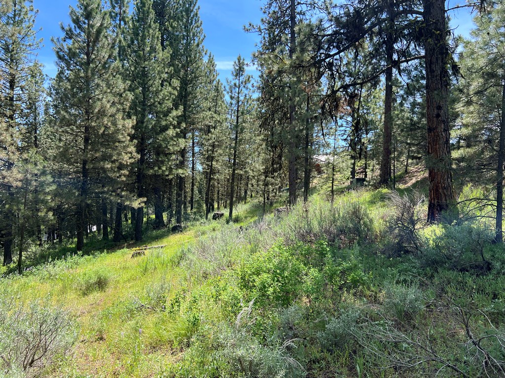 B22-l13 Vardon Road, Unit 13 New Meadows, ID 83654 - Photo 14 of 16