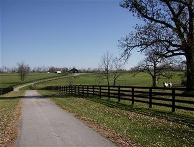 1177 Bethlehem Road Paris, KY 40361 - Photo 18 of 19 Photo 18