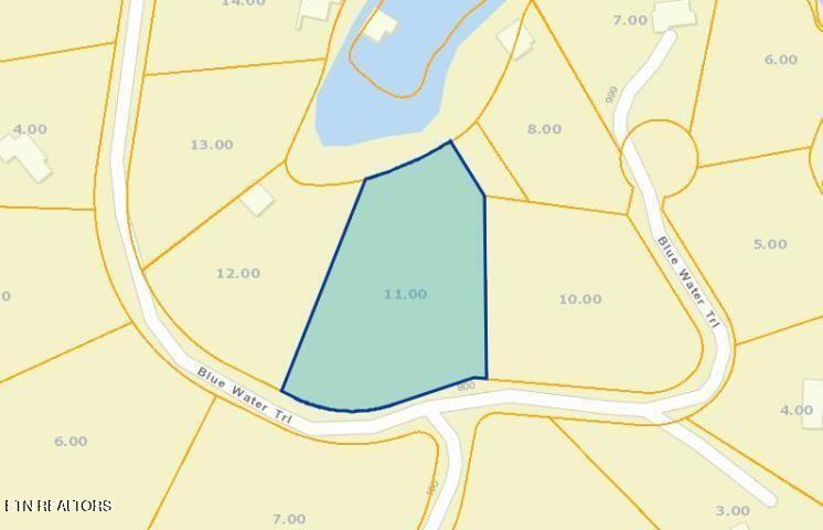 675 Blue Water Trail Spring City, TN 37381 - Photo 5 of 5 20210514181242197792000000-o