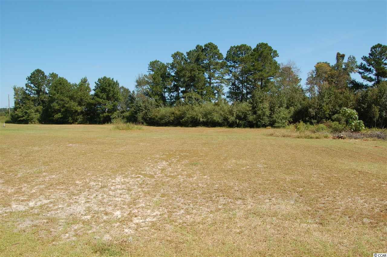 5042 Antioch Road Conway, SC 29527 - Photo 11 of 31 Gallery Image 11