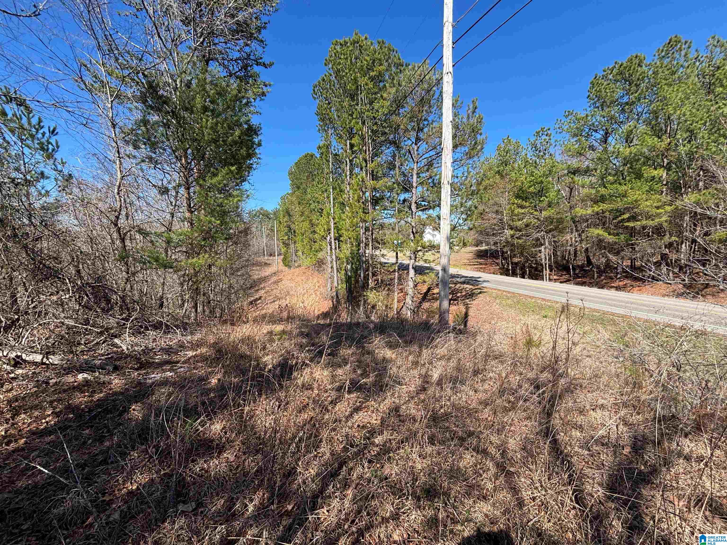 7380 Narrows Road, Unit 148 / ACRES Pinson, AL 35126 - Photo 3 of 22