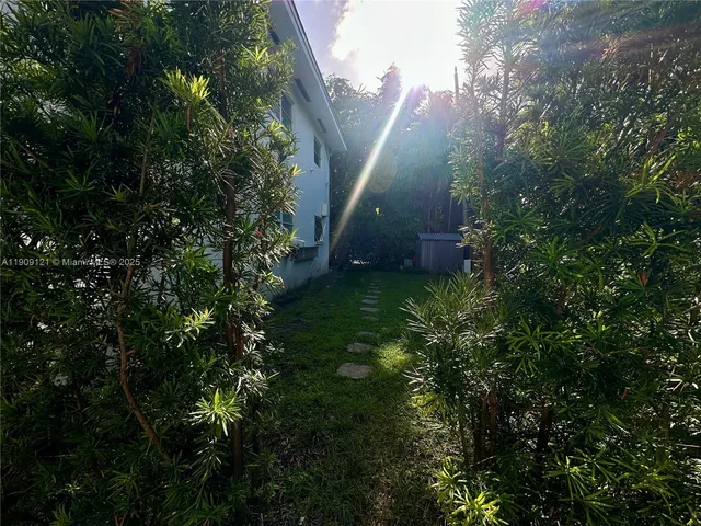 a view of a plants of a house